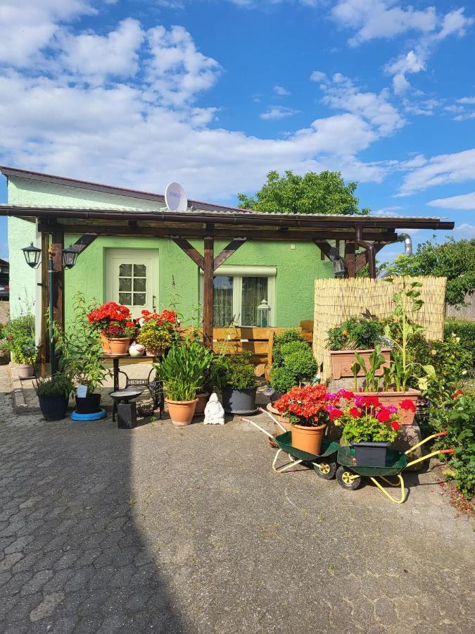 Ferienwohnung Bauerngarten Klein Vielen المظهر الخارجي الصورة